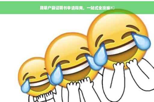 昆明户籍证明书申请指南，一站式全攻略?✨