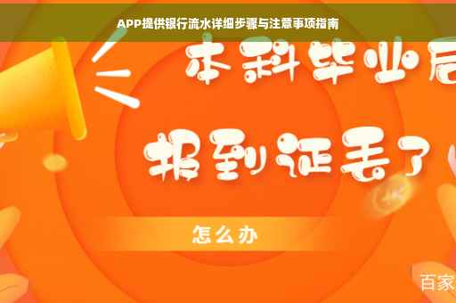 APP提供银行流水详细步骤与注意事项指南