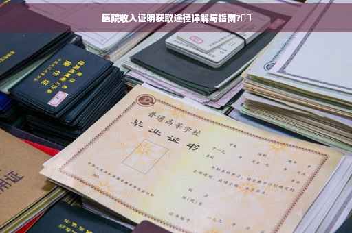 医院收入证明获取途径详解与指南?⚡️
