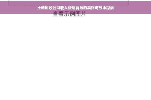 土地回收公司收入证明背后的真相与故事探索