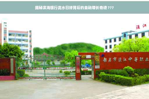 揭秘滨海银行流水日终背后的金融增长奇迹 ???