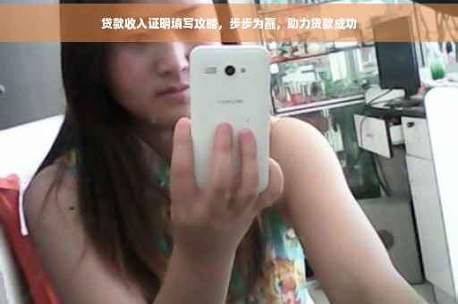 贷款收入证明填写攻略，步步为赢，助力贷款成功