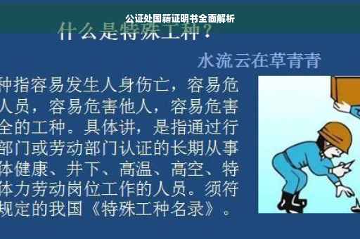 公证处国籍证明书全面解析