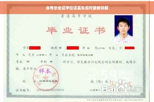 自考毕业证学位证丢失应对策略详解