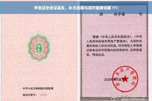 学业证毕业证丢失，补办流程与应对策略详解 ??✨