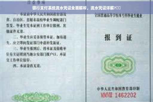 银行支付系统流水凭证全面解析，流水凭证详解?⚡️