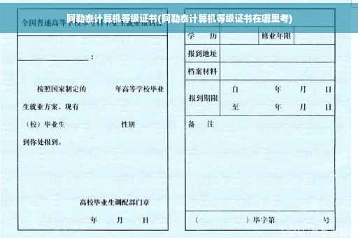 阿勒泰计算机等级证书(阿勒泰计算机等级证书在哪里考)