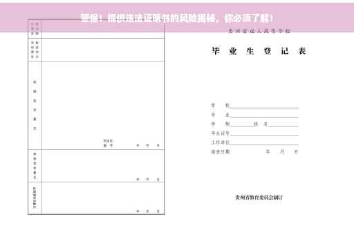 警惕！提供违法证明书的风险揭秘，你必须了解！
