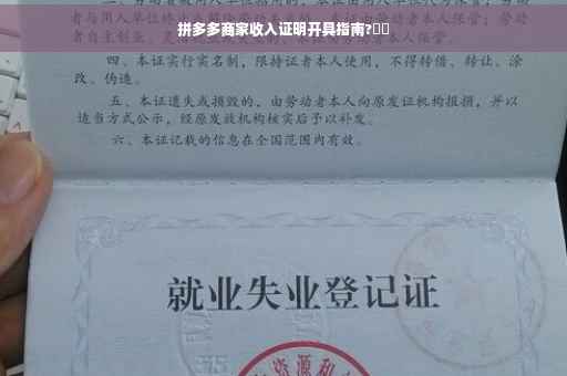 拼多多商家收入证明开具指南?⚡️