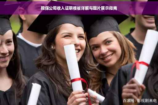 担保公司收入证明模板详解与图片展示指南