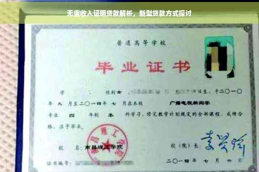 无需收入证明贷款解析，新型贷款方式探讨