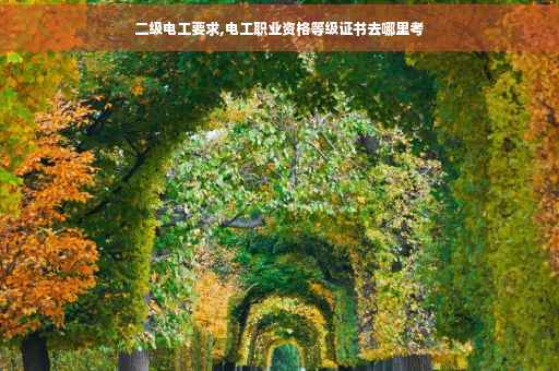 二级电工要求,电工职业资格等级证书去哪里考