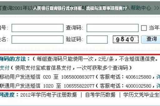 人民银行查询银行流水详解，流程与注意事项指南??