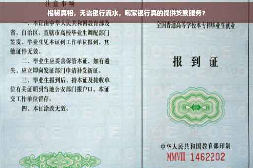 揭秘真相，无需银行流水，哪家银行真的提供贷款服务？
