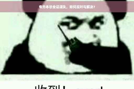专升本毕业证遗失，如何应对与解决？