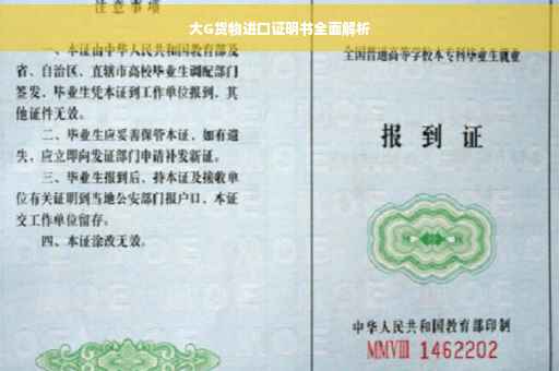大G货物进口证明书全面解析