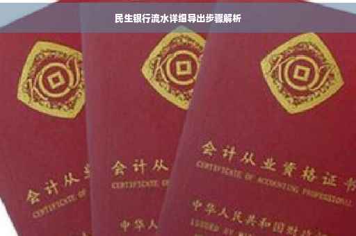 民生银行流水详细导出步骤解析