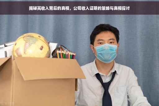 揭秘高收入背后的真相，公司收入证明的策略与真相探讨