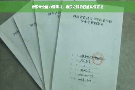 音乐专业能力证明书，音乐之路的权威认证证书