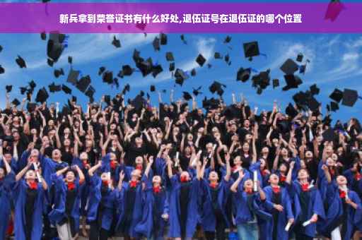 新兵拿到荣誉证书有什么好处,退伍证号在退伍证的哪个位置