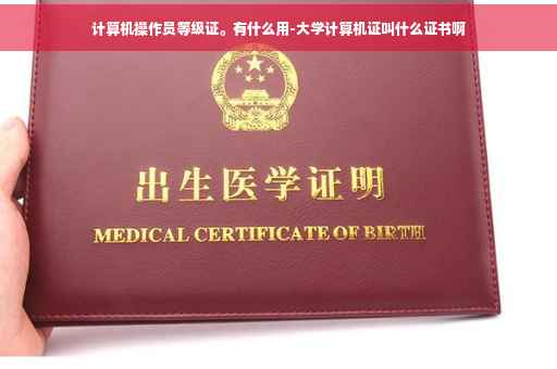 计算机操作员等级证。有什么用-大学计算机证叫什么证书啊 计算机操作员等级证。有什么用-大学计算机证叫什么证书啊