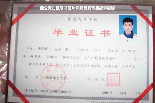 因公死亡证明书图片详解及其背后故事揭秘