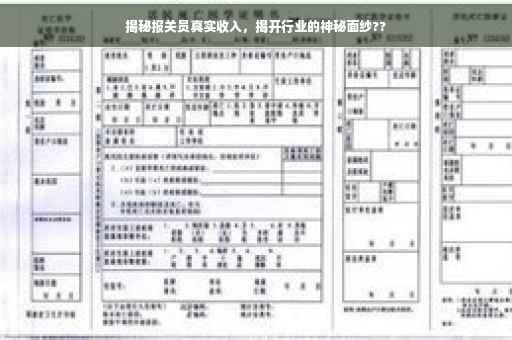 揭秘报关员真实收入，揭开行业的神秘面纱??