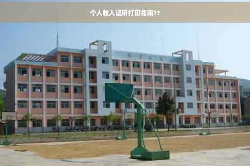 个人收入证明打印指南??