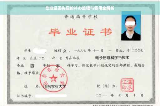 毕业证丢失后的补办流程与费用全解析