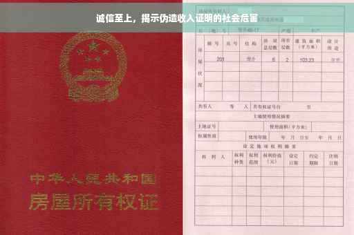 诚信至上，揭示伪造收入证明的社会危害