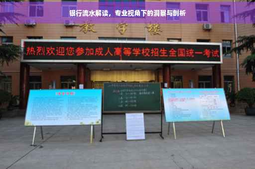 银行流水解读，专业视角下的洞察与剖析