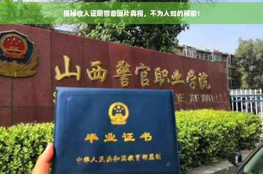 揭秘收入证明带章图片真相，不为人知的秘密！