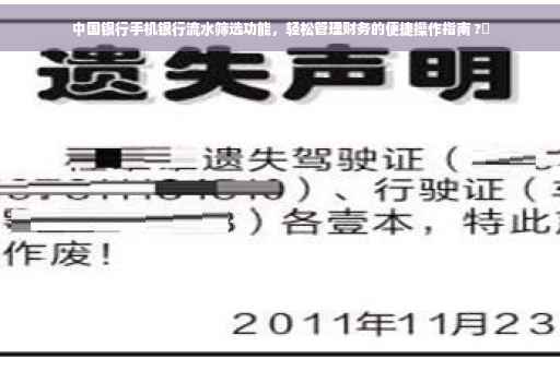 中国银行手机银行流水筛选功能，轻松管理财务的便捷操作指南 ?✨