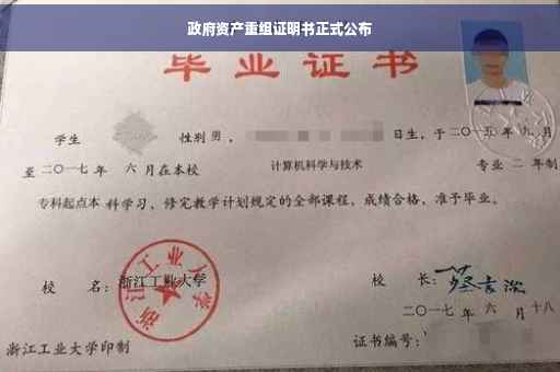 政府资产重组证明书正式公布