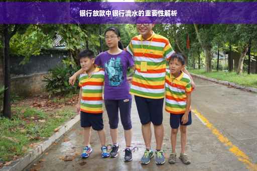 银行放款中银行流水的重要性解析