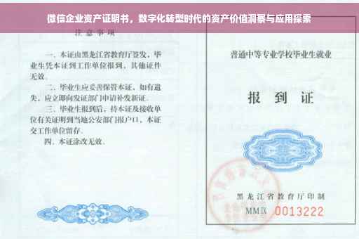 微信企业资产证明书，数字化转型时代的资产价值洞察与应用探索