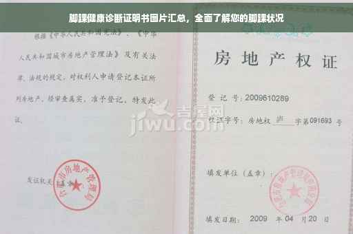 脚踝健康诊断证明书图片汇总，全面了解您的脚踝状况