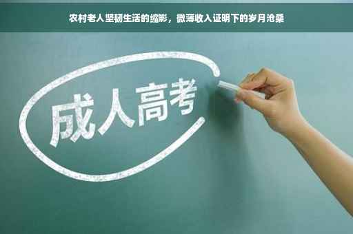 农村老人坚韧生活的缩影，微薄收入证明下的岁月沧桑