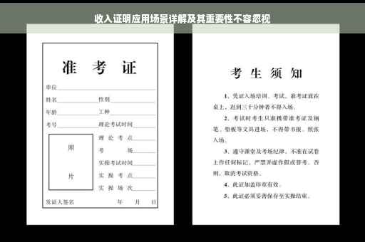 收入证明应用场景详解及其重要性不容忽视