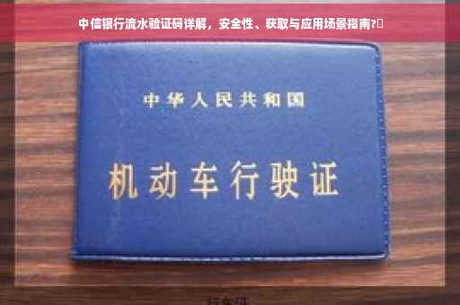 中信银行流水验证码详解，安全性、获取与应用场景指南?✨