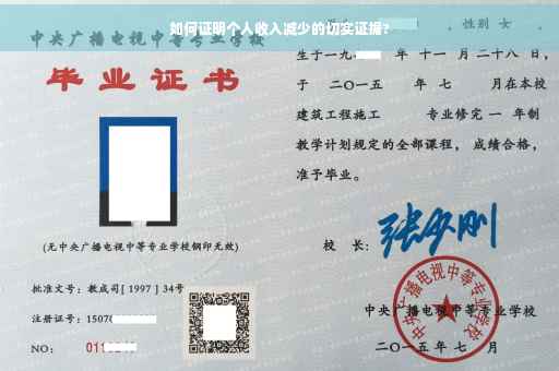 如何证明个人收入减少的切实证据?