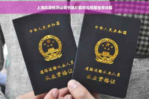 上海抗原检测证明书图片解析与观察报告详解