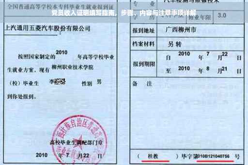 党员收入证明填写指南，步骤、内容与注意事项详解
