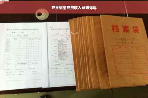 党员缴纳党费收入证明详解