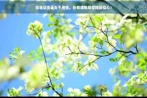 毕业证壳丢失不用慌，补救措施帮你找回信心！