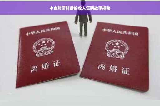 中金财富背后的收入证明故事揭秘