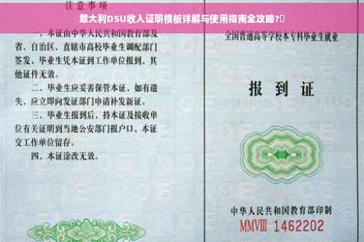 意大利DSU收入证明模板详解与使用指南全攻略?✨