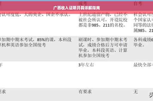 广西收入证明开具详解指南