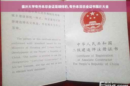 临沂大学专升本毕业证是啥样的,专升本没毕业证书图片大全