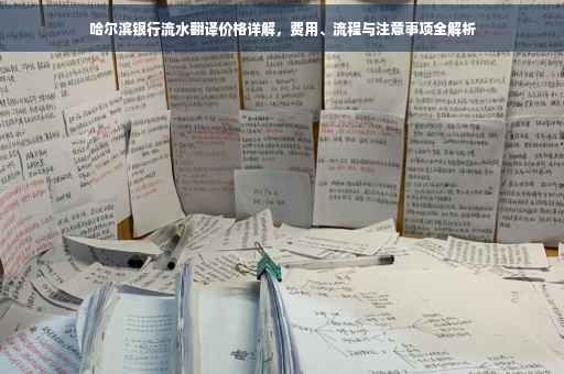 哈尔滨银行流水翻译价格详解，费用、流程与注意事项全解析